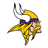 NFL Team