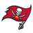 NFL Team