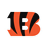 NFL Team